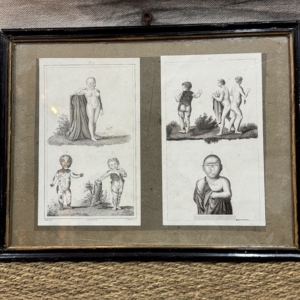 ilustración antigua francesa con paspartú